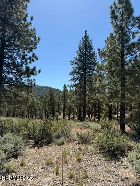 205 Haskell Mill Court, Carson City, NV 89705 - #1