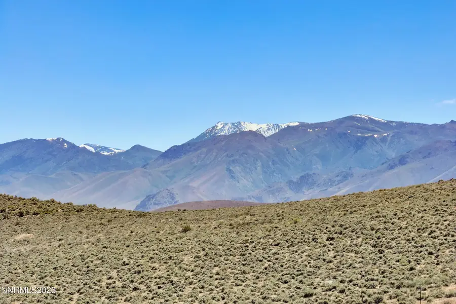 4255 Bosler Way, Wellington, NV 89444 - #2
