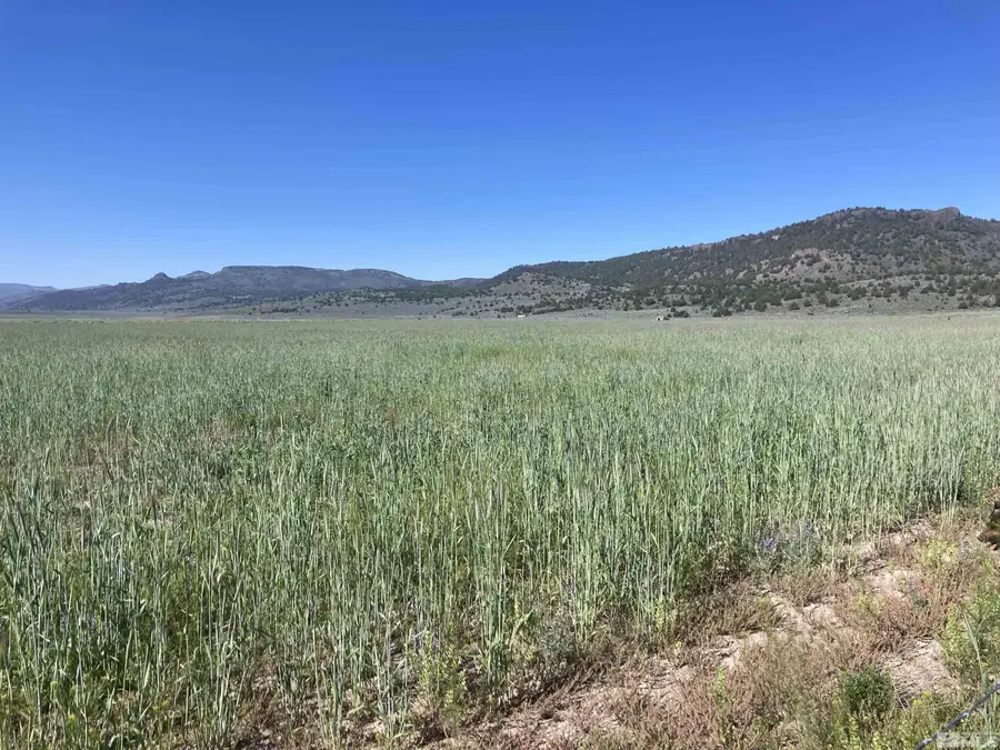 11069 Mosquito Road, Gerlach, NV 89412 - #2