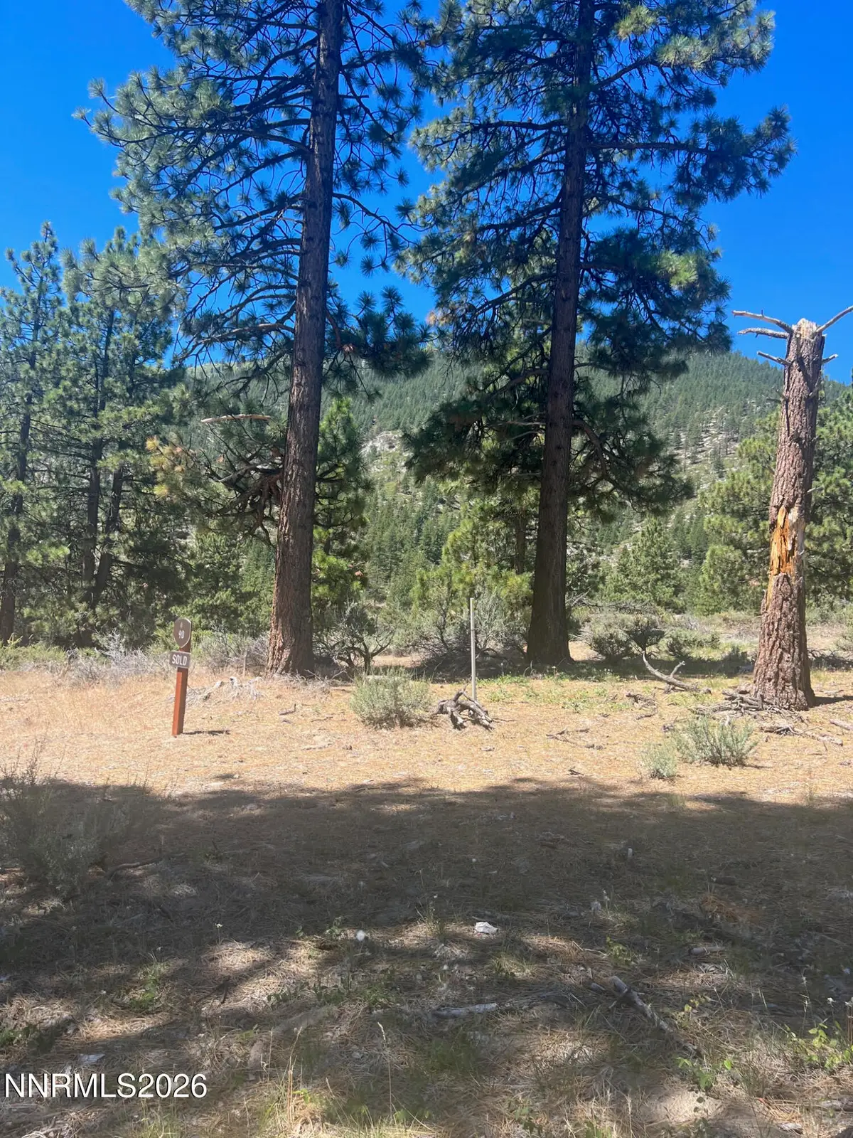 3559 Knob Point Trail #90, Carson City, NV 89705 - #1
