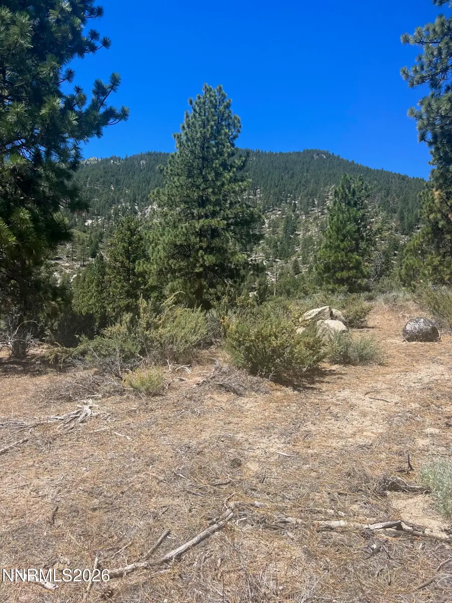 3559 Knob Point Trail #90, Carson City, NV 89705 - #2
