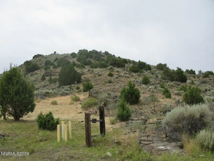 705 Pah Rah Springs Road, Reno, NV 89510 - #2