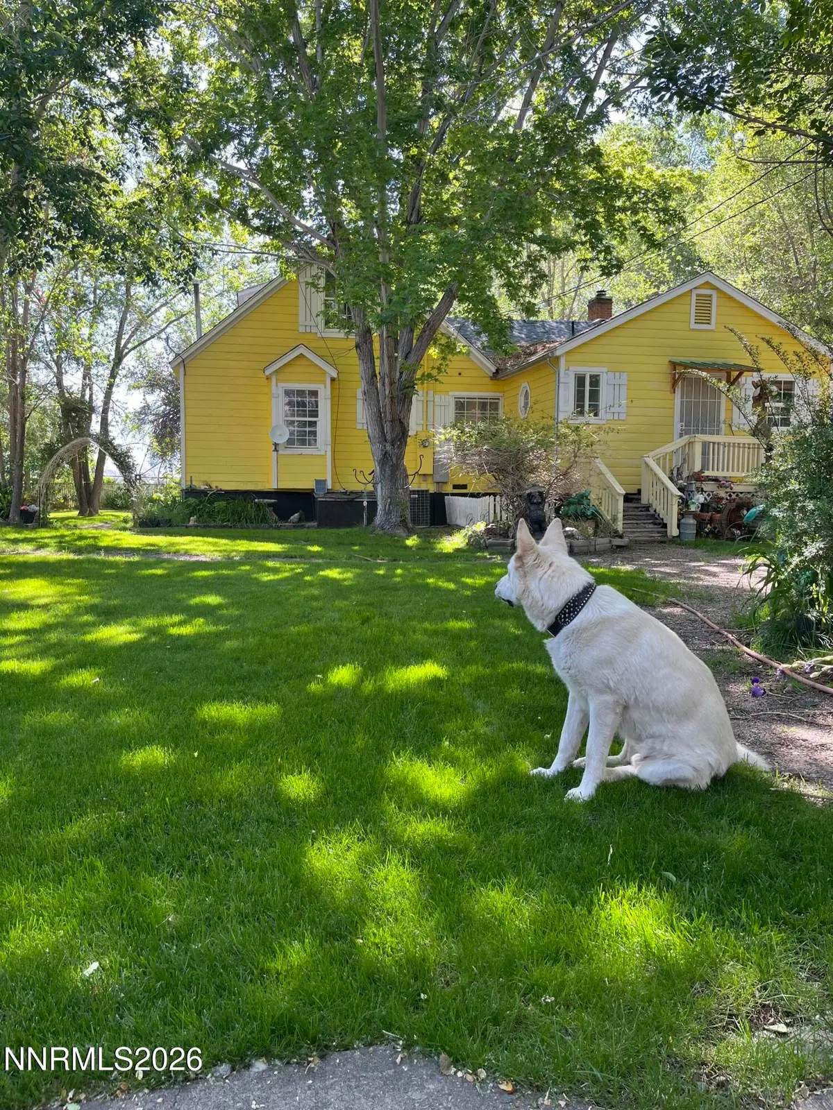 834 W Bridge Street, Yerington, NV 89447 - #1