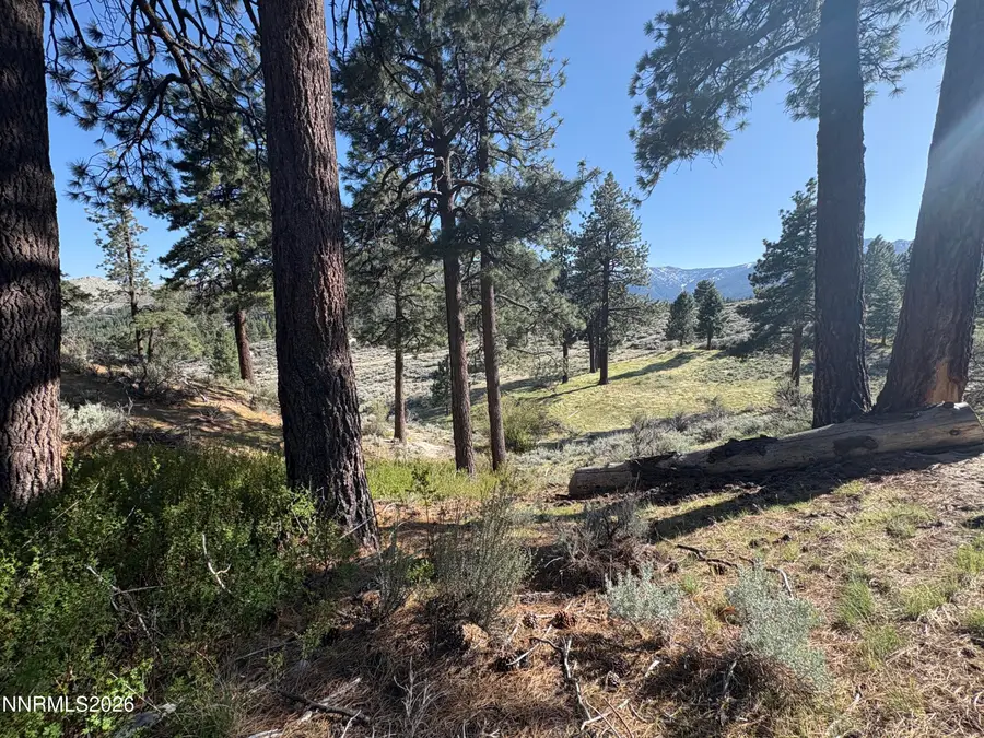 5000 W Hwy 50, Carson City, NV 89705 - #3