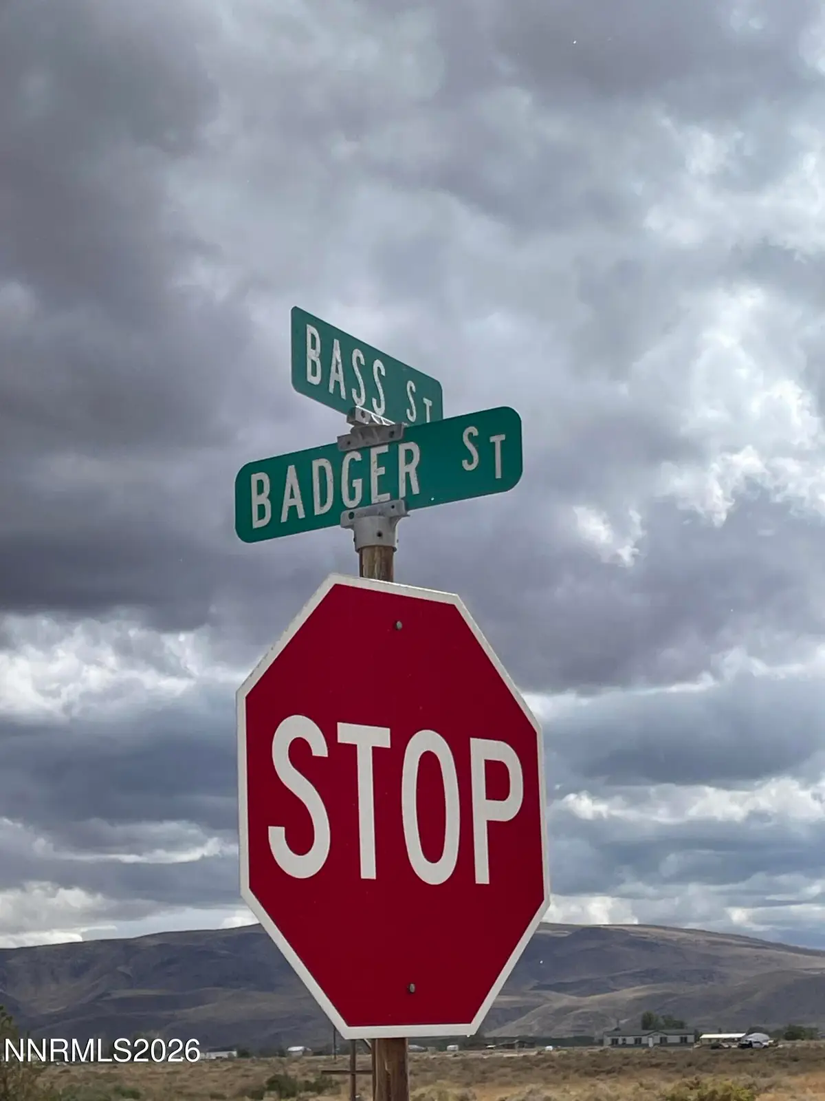 1840 E Badger Street, Silver Springs, NV 89429 - #1
