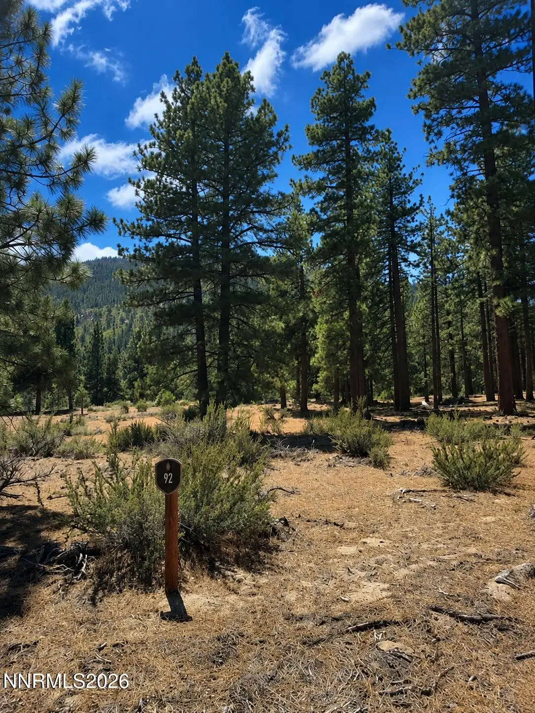 3571 Knob Point Trail #92, Carson City, NV 89705 - #1