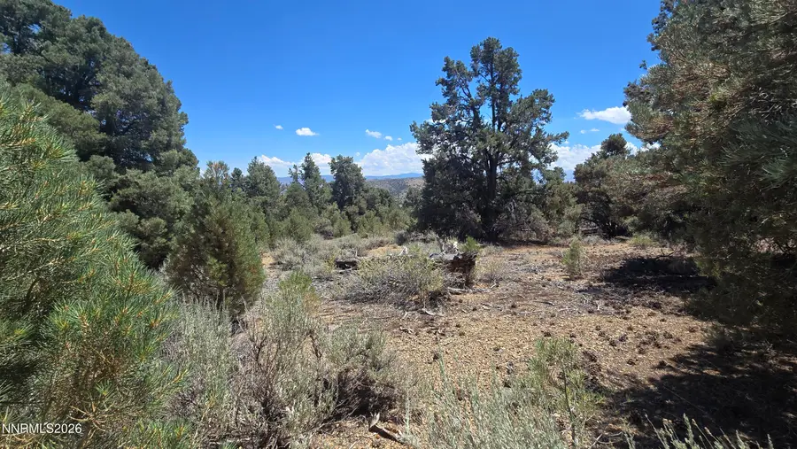 1548 Moss Circle, Gardnerville, NV 89410 - #2