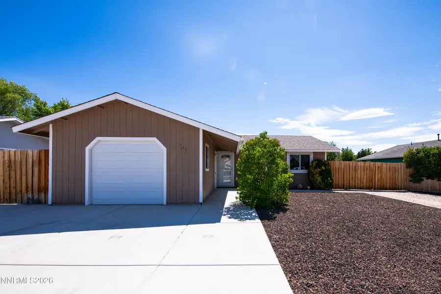 705 Addler Road, Gardnerville, NV 89460 - #2