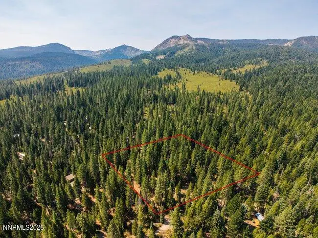 1001 Pinion Pine Trail, Johnsville, CA 96103 - #1