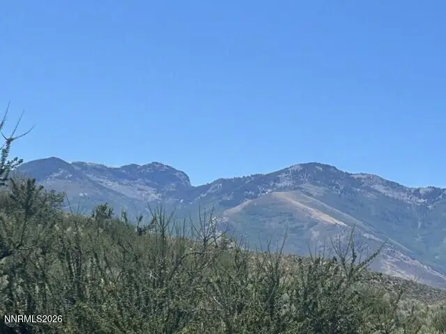 0 S Thorpe Way #4, Lamoille, NV 89828 - #1