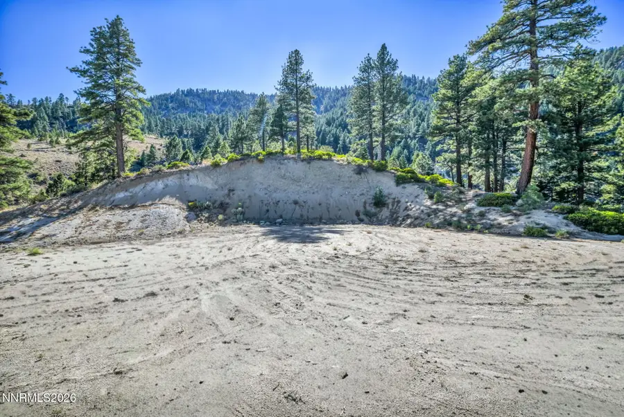 2960 Jacks Valley Road, Genoa, NV 89411 - #2