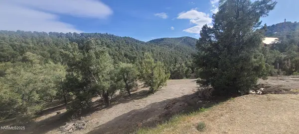 21685 Palamino Road, Reno, NV 89521