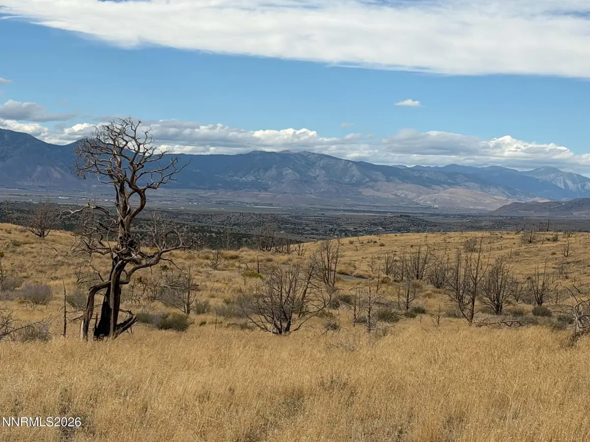 TBD Pine Nut #2, Gardnerville, NV 89410 - #1