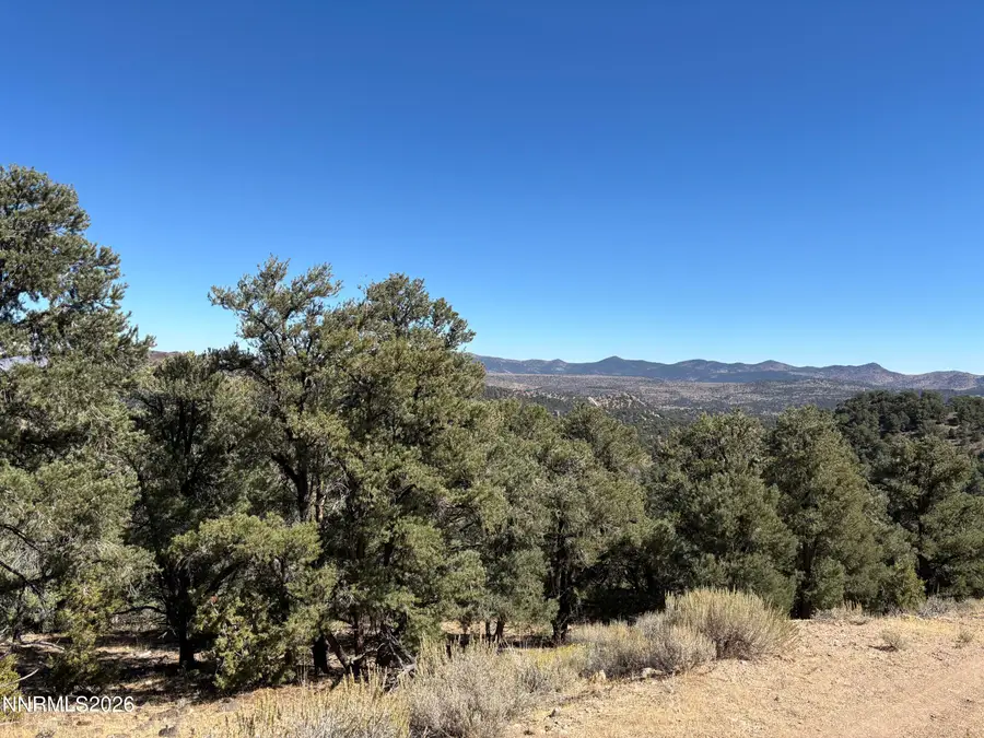 1420 Yellow Jacket Road, Reno, NV 89521 - #2