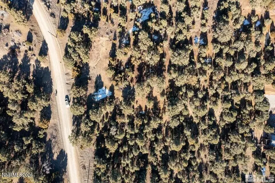 1801 Harte Road, Reno, NV 89521 - #2