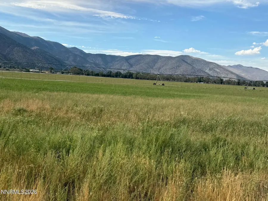 TBD Lower Colony Road #3D, Wellington, NV 89444 - #3