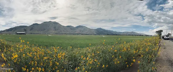 TBD Lower Colony Road #c3, Smith Valley, NV 89444