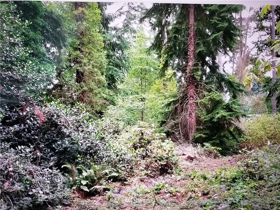 317 51st Avenue Sw, Federal Way, WA 98023 - Image #2