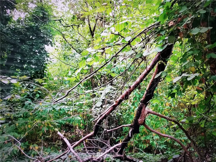 317 51st Avenue Sw, Federal Way, WA 98023 - Image #3