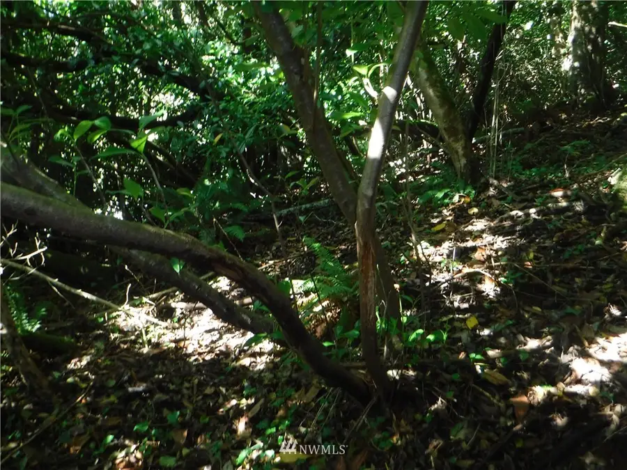 0 Adams Street, Hoquiam, WA 98550 - Image #3