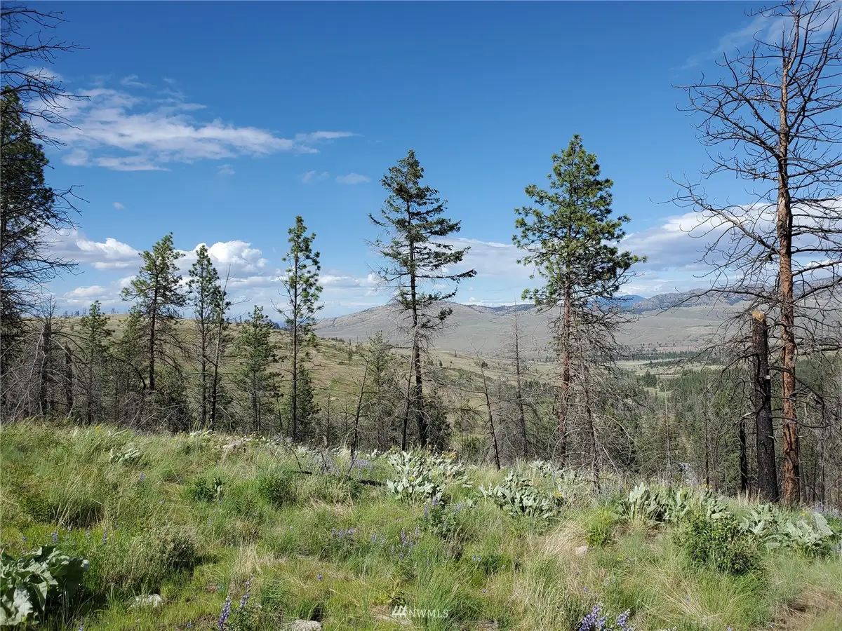 0 Knox Road, Riverside, WA 98849 - Image #1