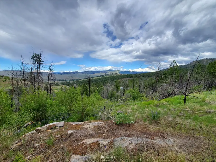 0 Knox Road, Riverside, WA 98849 - Image #2