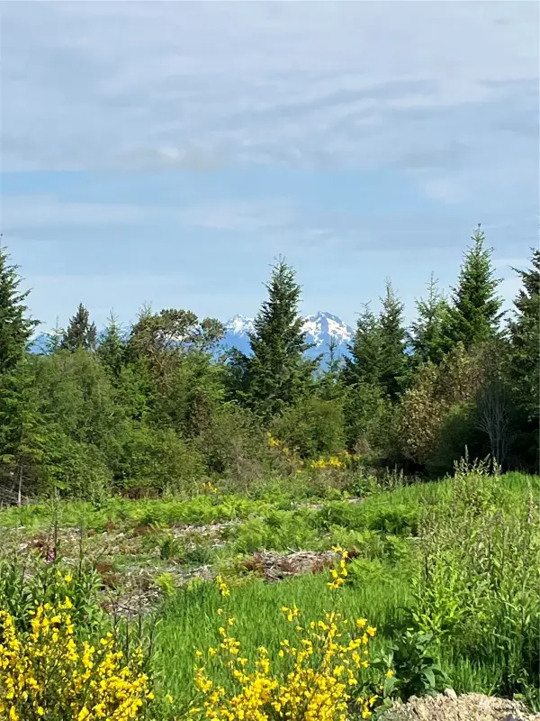 1 E Lone Fir Dr Road E #1, Shelton, WA 98584