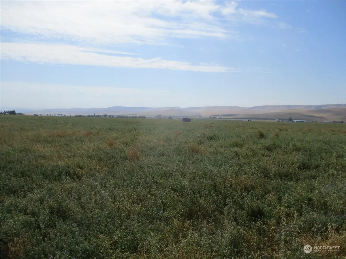 0 Thurber Road #Lot 53, Touchet, WA 99360 - #1