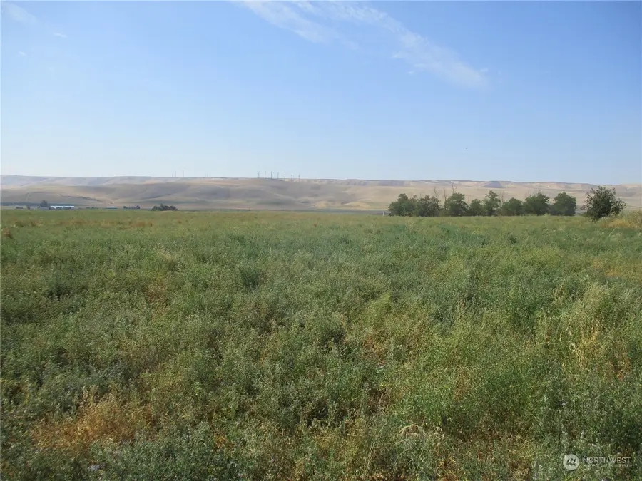 0 Thurber Road #Lot 53, Touchet, WA 99360 - #2