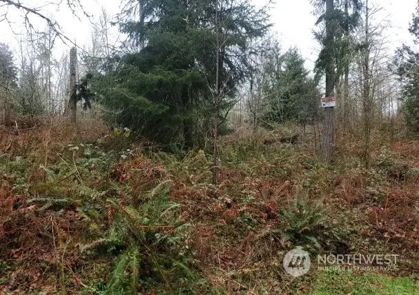 0 NE Union Hill Road, Redmond, WA 98053 - Image #1