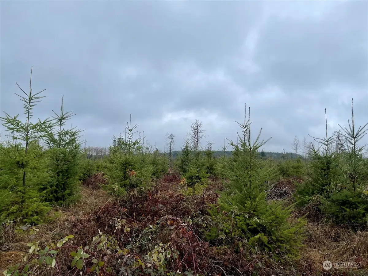 1 Oppelt Road #Oppelt Lot 1, Onalaska, WA 98570 - Image #1