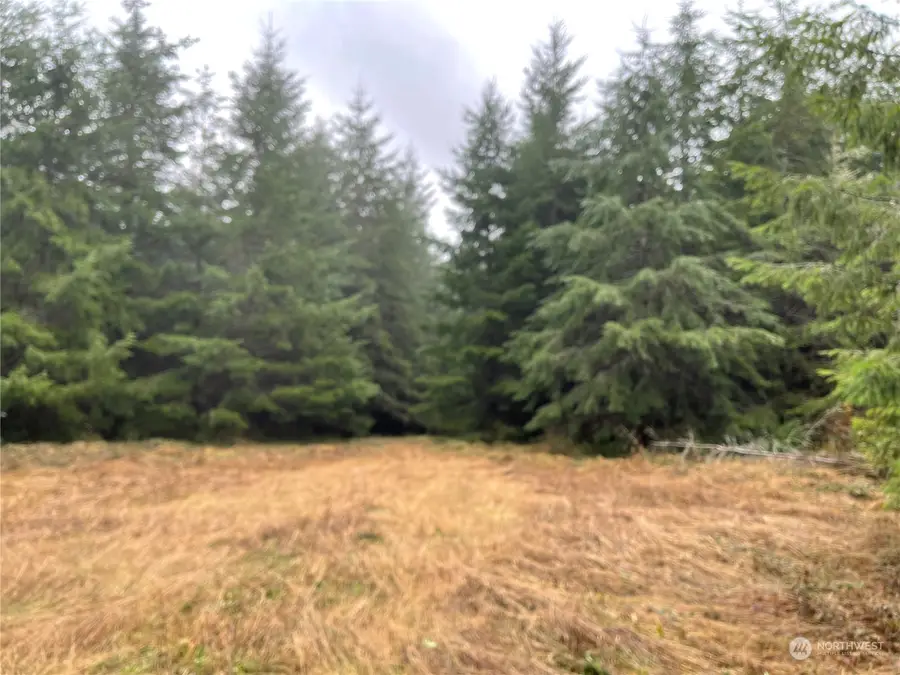 3 Oppelt Road #Oppelt Split 3, Onalaska, WA 98570 - Image #2