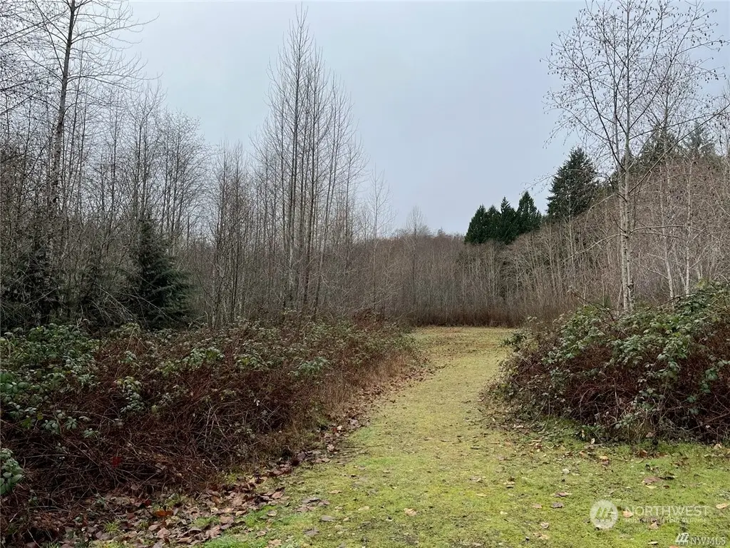 0 E Wheelwright Street, Allyn, WA 98524 - Image #1