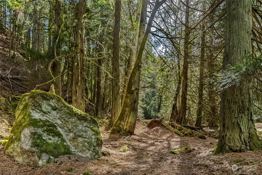 0 Tibb's Landing #Ptn Lot 4, Shaw Island, WA 98250 - Image #3