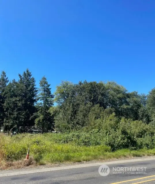 0 Henkle (hwy 6) Street #Tract 139 & 140, Raymond, WA 98577 - Image #1