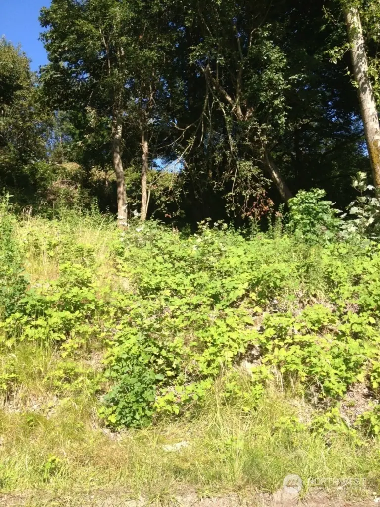 5310 S Wallace Street, Seattle, WA 98178 - Image #3