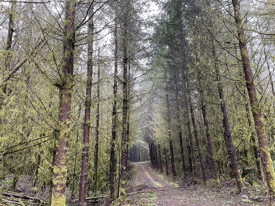 0 Fallert Road, Kalama, WA 98625 - Image #3