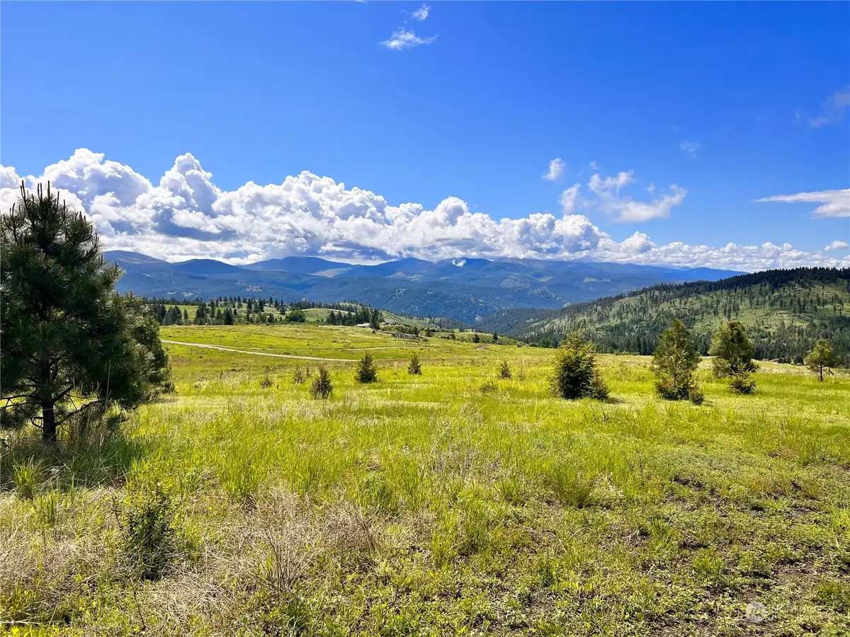 39 Moonlight Drive #Lot 2, Curlew, WA 99118 - Image #1