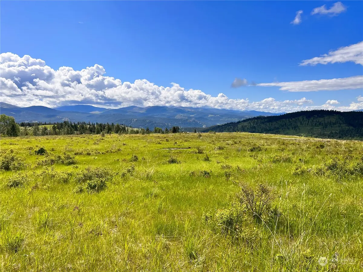 36 Moonlight Drive #Lot 4, Curlew, WA 99118 - Image #1