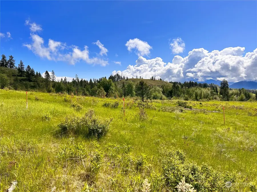 36 Moonlight Drive #Lot 4, Curlew, WA 99118 - Image #2