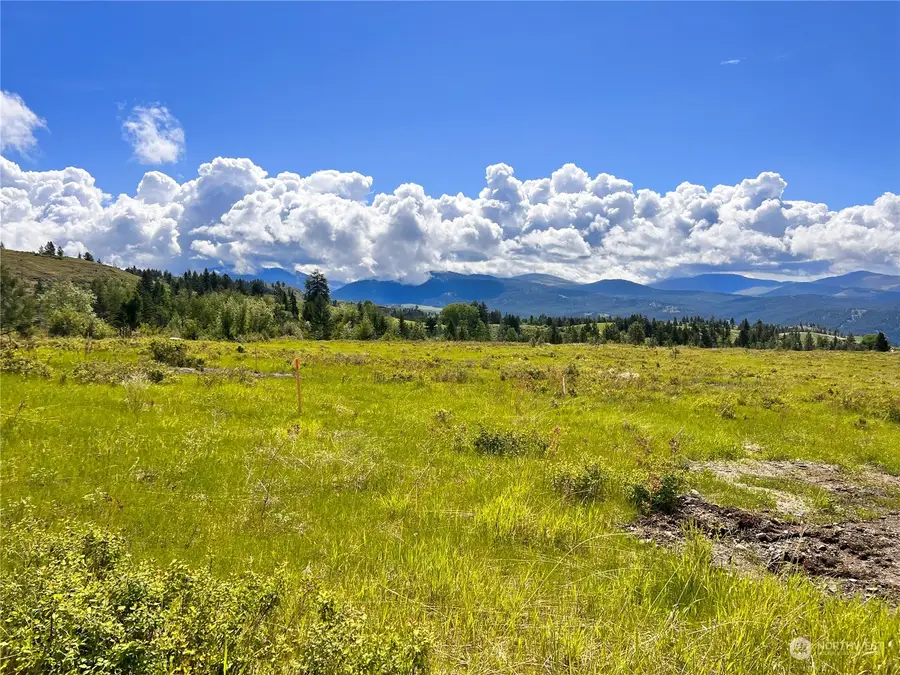 36 Moonlight Drive #Lot 4, Curlew, WA 99118 - Image #3