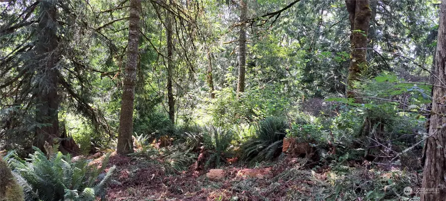 0 Loop Lot 1 Road, Centralia, WA 98531 - Image #2