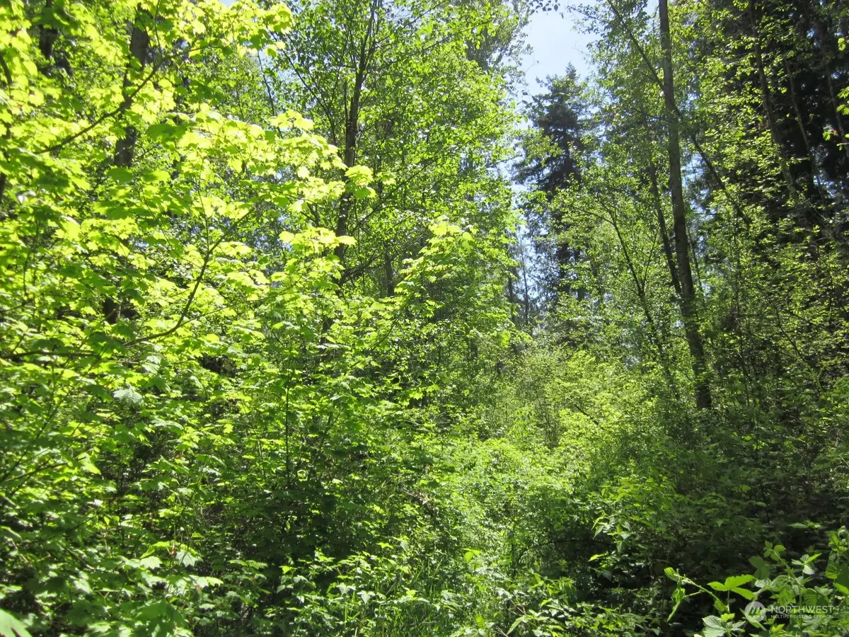 20633 SE 388th Street #2, Enumclaw, WA 98022 - Image #1