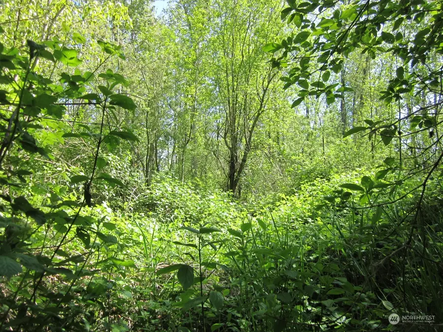 20633 SE 388th Street #2, Enumclaw, WA 98022 - Image #2