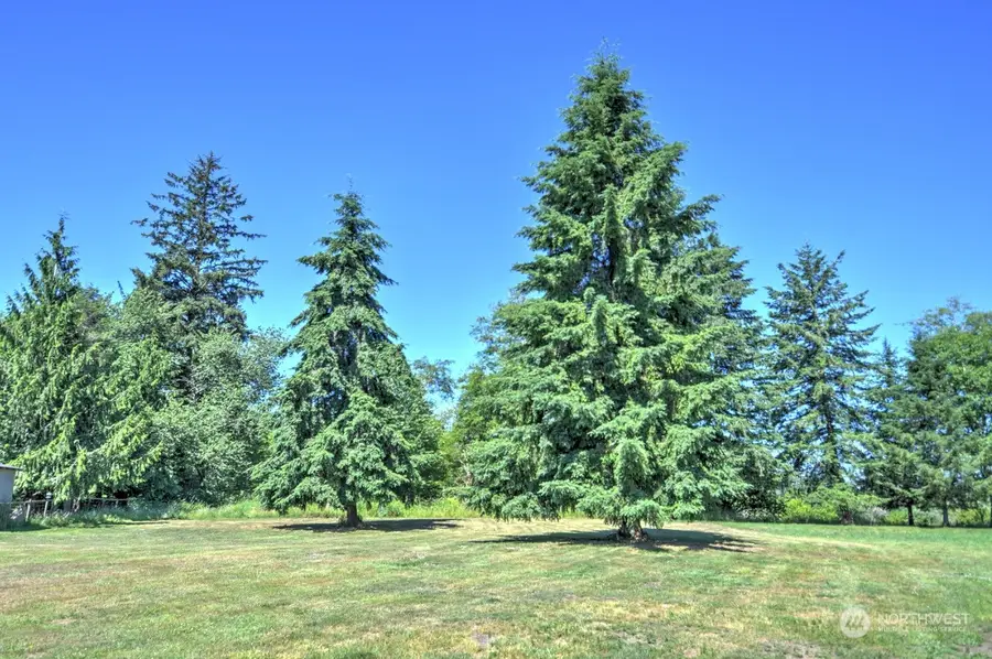 0 Devonshire Road, Montesano, WA 98563 - Image #2