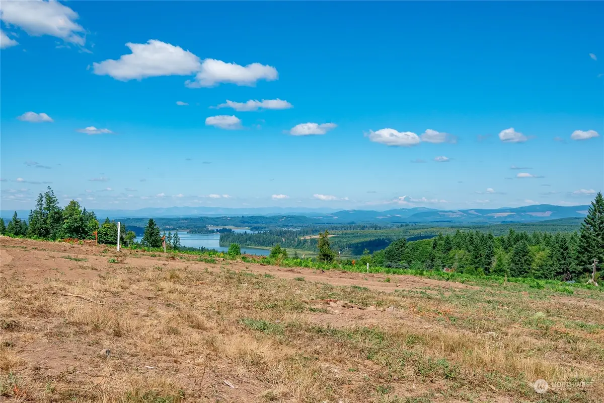 0 S Silver Lake Lot 5 Road, Castle Rock, WA 98611 - Image #1