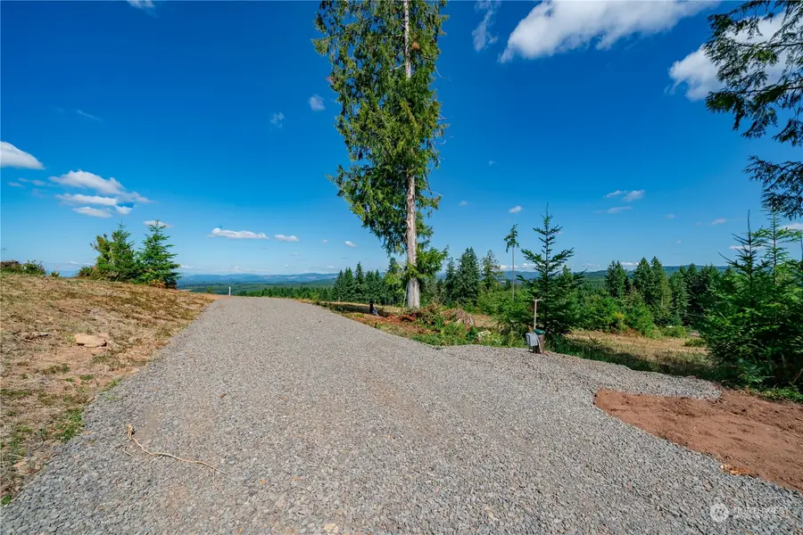 0 S Silver Lake Lot 5 Road, Castle Rock, WA 98611 - Image #3