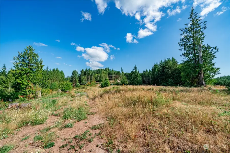 0 S Silver Lake Road, Castle Rock, WA 98611 - Image #2