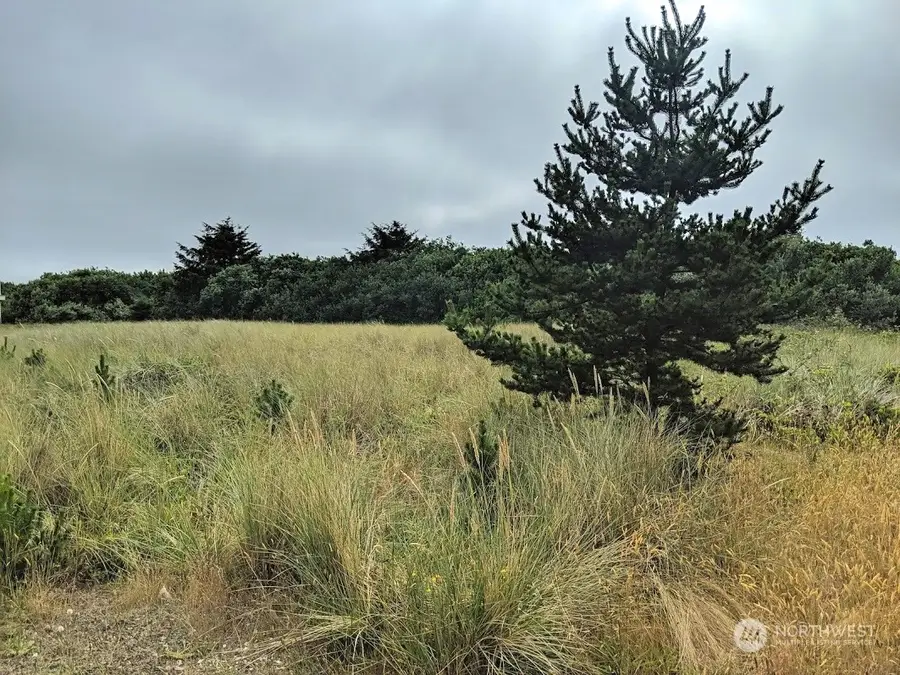 863 Ocean Shores Boulevard Nw #26, 28 & 30, Ocean Shores, WA 98569 - Image #2