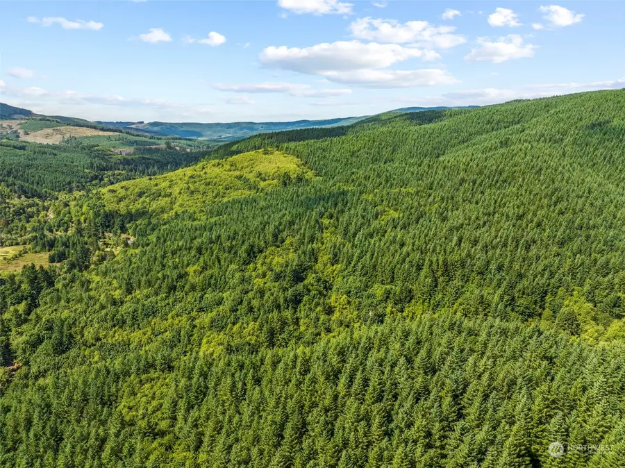 0 Rose Valley Road, Kelso, WA 98626 - Image #2